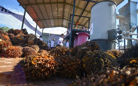 Idul Adha H Kemendag Sebut Harga Minyak Goreng Kembali Stabil