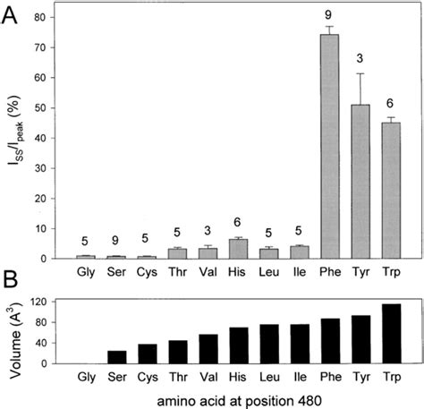 Single-channel activity of wild-type C480 and mutants C480I and C480F ...