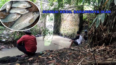 Vlog Mancing Di Sungai Kecil Sarangnya Ikan Wader Youtube