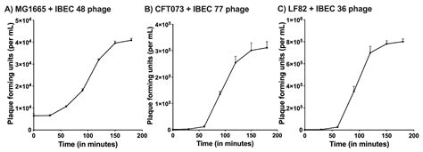 Cells Free Full Text Accessing The In Vivo Efficiency Of Clinically