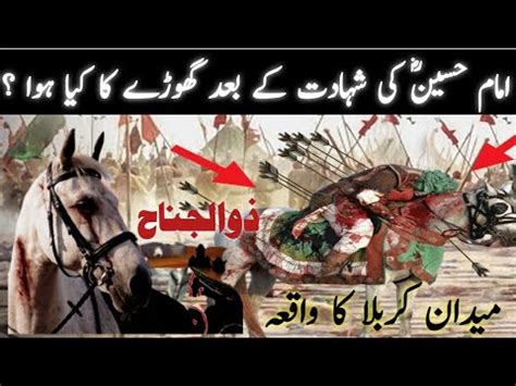 Hazrat Imam Hussain AS Ke Ghore Ka Waqia Ghode Ka Naam Kya Tha Zuljanah