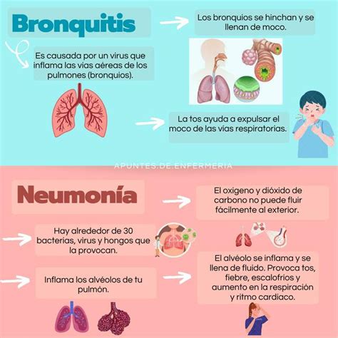 Res Menes De Bronquitis Descarga Apuntes De Bronquitis