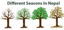 How Many Seasons In Nepal Are There Or All About Nepali Seasons