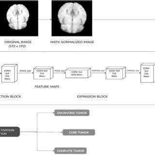 U Net Model For Brain Tumor Segmentation Taking Flair Mri Scans Of Size