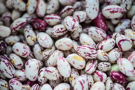 What Are Borlotti Beans And How Are They Used