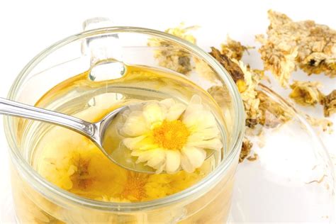 Chrysanthemum Tea Recipe (Updated 2025)