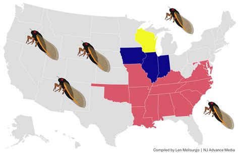 Huge Noisy Cicada Invasion To Swarm These 17 U S States In 2024 See