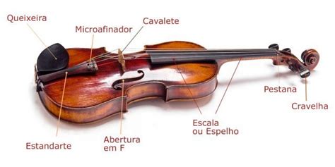 Partes de um violino quais são os elementos de um violino e seu arco