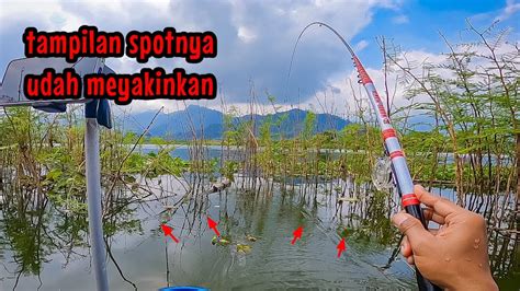 Yakin Panenspotnya Saja Sudah Kaya Gini Mancing Ikan Nila Di Waduk