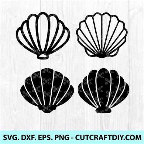 Seashell Svg Shell Svg Sea Shell Svg Beach Shell Svg Cut Files Clipart