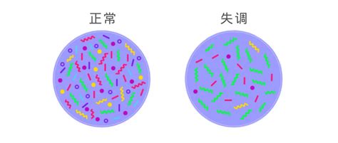 科学网— 转载 肠道菌群失衡的症状、原因和自然改善 牛耀芳的博文