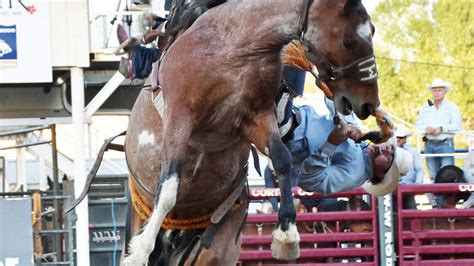 Galleries – The Durango Herald