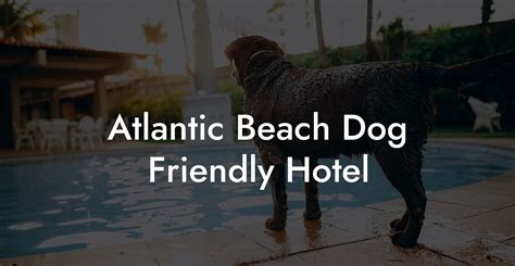 Atlantic Beach Dog Friendly Hotel - Dog Hotels