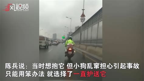 流浪狗误入高架桥 暖心辅警一路护送：它也是一条生命 凤凰网视频 凤凰网