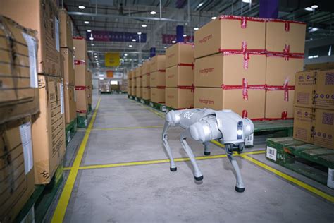 Globalink 19th Asian Games Hangzhou Logistics Center Xinhua