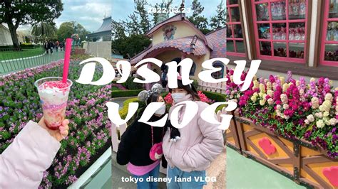 disneyvlog 友達家族とゆるゆるディズニーvlog homevideo YouTube