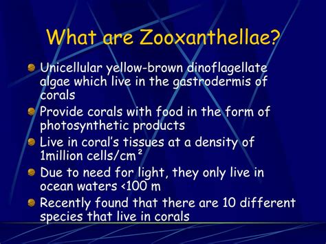 PPT - Symbiosis between Zooxanthellae & Corals PowerPoint Presentation ...