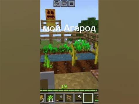 Мой дом - YouTube