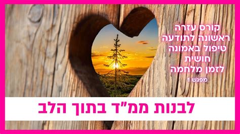 בני לך תיבה והינצלי מהמבול קורס ריפוי עמוק לזמן מלחמה תרגול מרפא