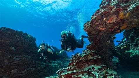 Reef Diving and Snorkeling Tour in Honolulu - Galería