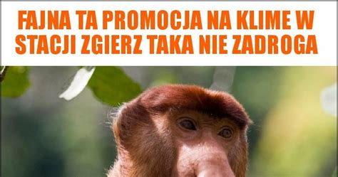 Fajna Ta Promocja Na Klime W Stacji Zgierz Taka Nie Zadroga Memy Gify