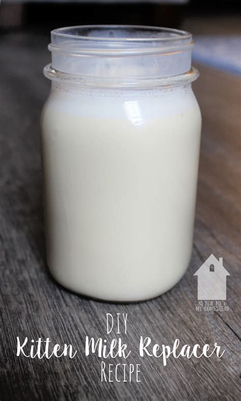 Diy Kitten Milk Replacer Recipe As For Me And My Homestead