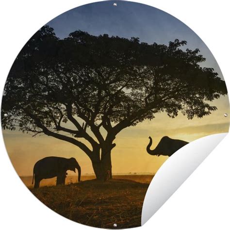 Tuincirkel Olifant Zon Afrika X Cm Ronde Tuinposter