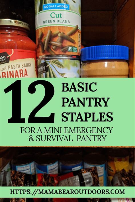 12 Ingredient Mini Survival Pantry Mama Bear Outdoors Easy Bbq