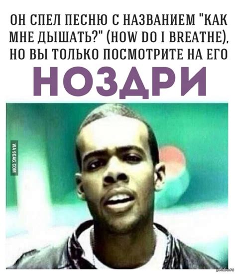 Ноздри | Пикабу