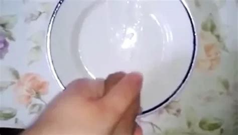 Free Cum On Plate Gay Porn Videos Xhamster