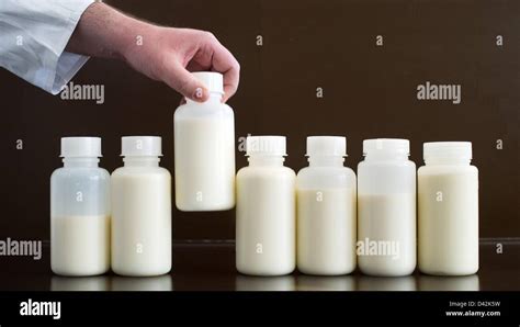 A chemical engineer sorts raw milk samples at the Lower Saxony State ...