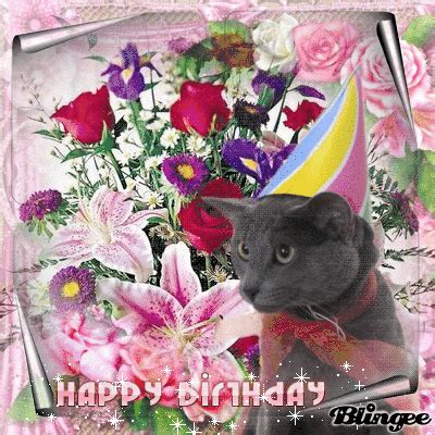 Happy Birthday Kitty Gif Pictures, Photos, and Images for Facebook ...