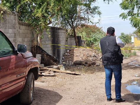 Localizan Sin Vida A Un Hombre En La Colonia Las Coloradas En Culiac N