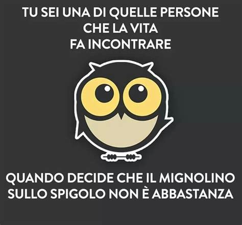 Pin Di Mik Hoxhaj Su Ridere Citazioni Divertenti Insulti Divertenti