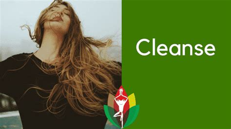 Why a Cleanse is important for your health and how you can get started