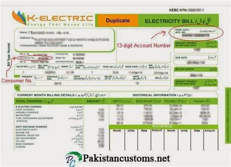 A Guide On How To Get K Electric Duplicate Bill Online LESCO