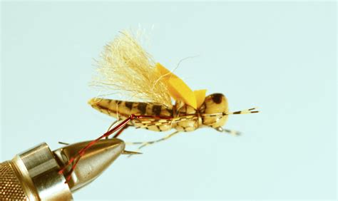 Top 5 Hopper Fly Patterns The Missoulian Angler Fly Shop