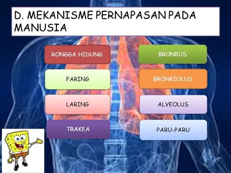 Tujuan Pembelajaran Jenis Jenis Pernapasan Penyakit Atau Gangguan Pada