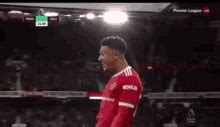 Sancho Celebration GIF - Sancho Celebration - Discover & Share GIFs