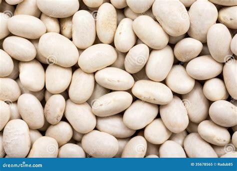 White Beans Close Up stock image. Image of healthy, nutrition - 35678565