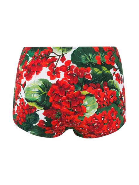 Dolce And Gabbana Floral Print Bikini Briefs Farfetch