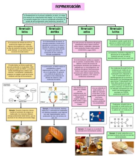 Mapa Conceptual De La Fermentacion Mapapapa Porn Sex Picture