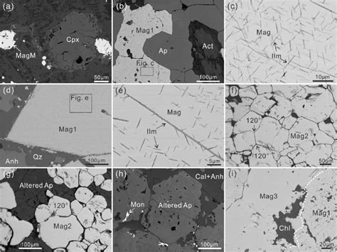 BSE Images Showing The Textures Of Different Types Of Magnetite A