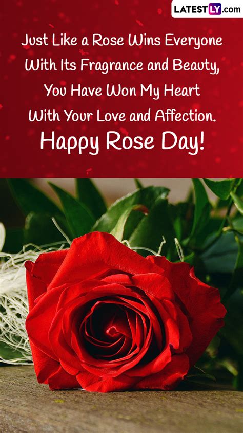 Top 999 Red Roses Images With Love Quotes Amazing Collection Red