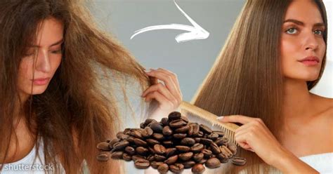 Coffee Shampoo DIY Recipe For Good Hair