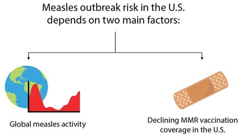 Assessing Measles Outbreak Risk In The United States Ncird Cdc