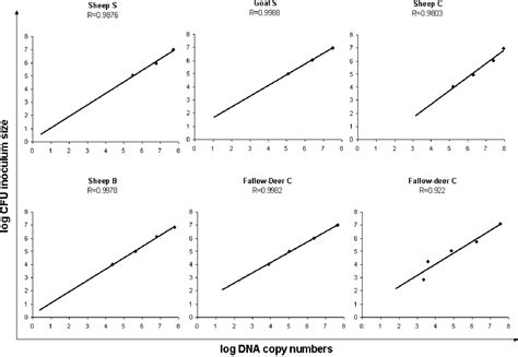 Quantification Of Mycobacterium Avium Subsp Paratuberculosis Strains