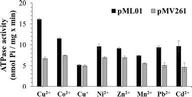 Atpase Activity Of The Mycobacterial Cell Membrane Stimulated By Heavy