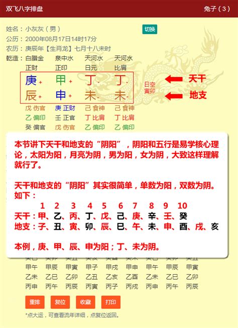 如何看懂八字（双飞八字排盘使用指南