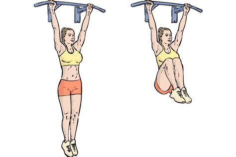 Free Workout Exercises 183 219 Incline Medicine Ball Push · Workoutlabs Fit